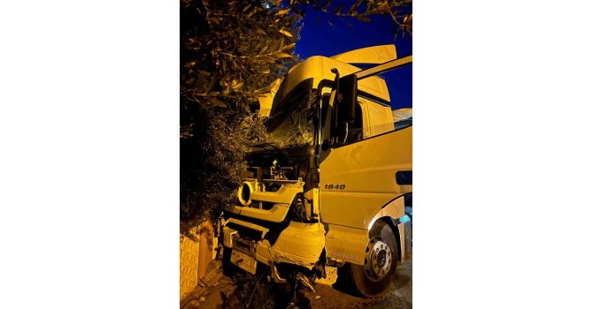 Tır sürücüsü uyudu, ortalık savaş alanına döndü: Önce üste geçide ardından da ağaç ile 2 araca çarptı