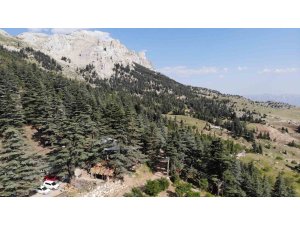 Sıcaklardan kaçanların adresi, Ilıca’nın yeşil kalbi: Halimin Gölü