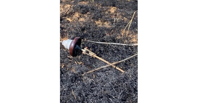 Yüksek gerilim hattı koptu, buğday tarlası alev aldı