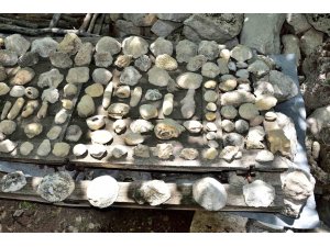 Mersin Mut’ta fosil araştırması