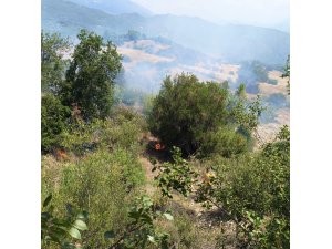 Antalya’da ormanı tehdit eden yangın kontrol altına alındı