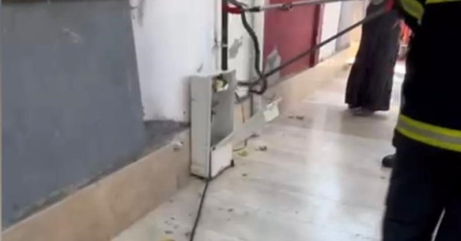 Doğal gaz kutusuna giren yılan doğal ortamına bırakıldı