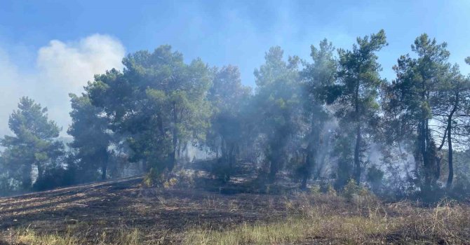 Antalya’da ormanlık alanda çıkan yangın 2 saatte kontrol altına alındı