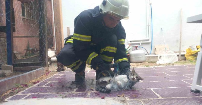 Balık ağına takılan kediyi itfaiye kurtardı