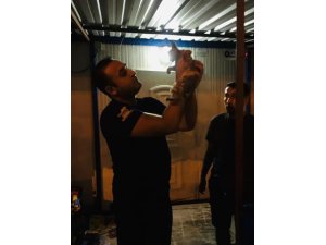 Kalbi duran yavru kediye yürek ısıtan kalp masajı