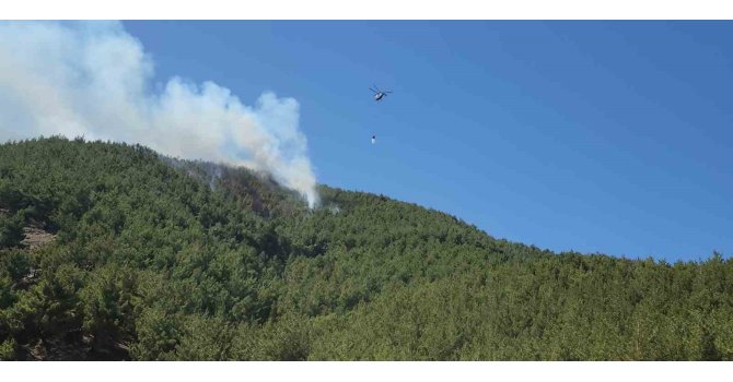 Hatay’da orman yangını havadan müdahaleyle kontrol altına alındı