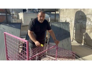 Çatılara kurulan kafeste işe yaramadı, firari maymun hala yakalanamadı