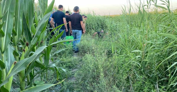 Adana’da sazlıklar arasında bir kişi ölü bulundu