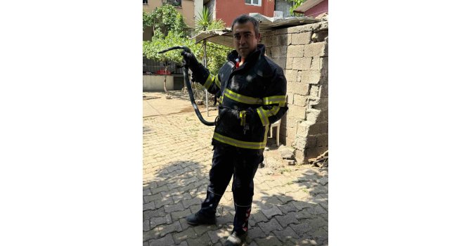 Payas’ta eve giren yılanı itfaiye yakaladı