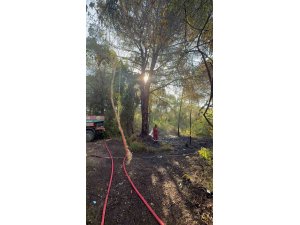 Serik’te sabah saatlerinde çıkan orman yangını söndürüldü