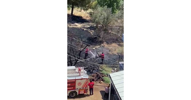 Mersin’de kayısı bahçesinde yangın