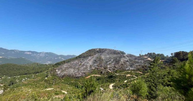 Alanya Kızılalan’da çıkan yangın yaklaşık 10 saat sonra kontrol altına alındı