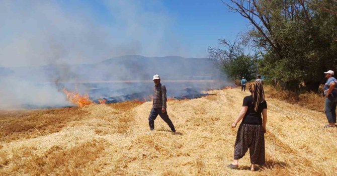 Burdur’da çıkan yangında 8 dönüm arazi zarar gördü