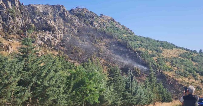 Bucak’taki orman yangını söndürüldü
