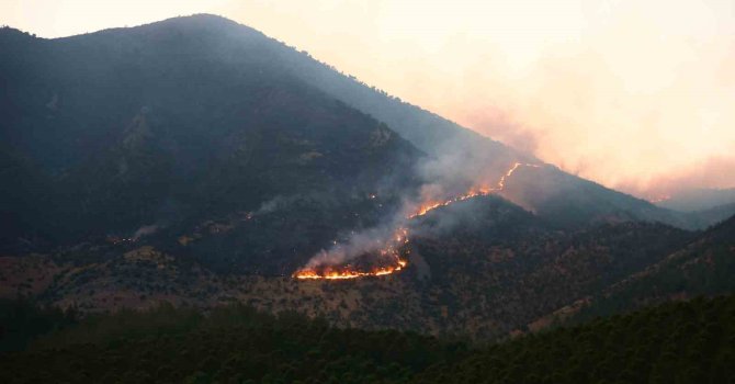 Kahramanmaraş’taki orman yangını: 26 saattir müdahale ediliyor