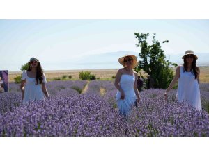 Lavanta tarlalarında mor bir şölen: Festival hasatla başladı, koku atölyeleri mest etti