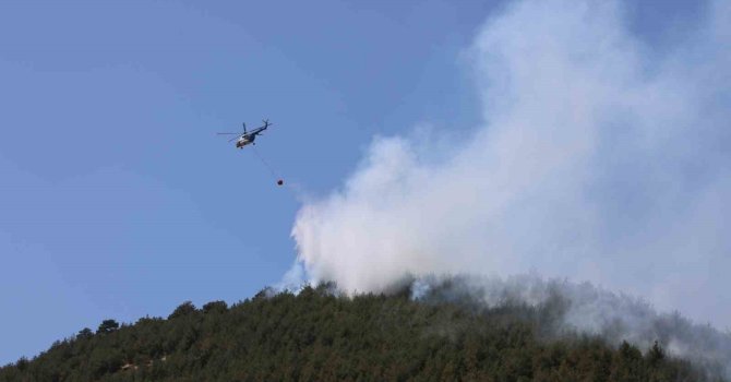 Yakılan anız, orman yangınına neden oldu: Müdahale sürüyor