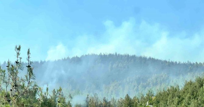 Kahramanmaraş’taki ikinci orman yangını da kontrol altında