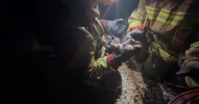 Yangında mahsur kalan kediye yürek ısıtan şefkat