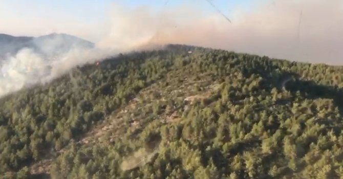 Antalya Gazipaşa’da orman yangını