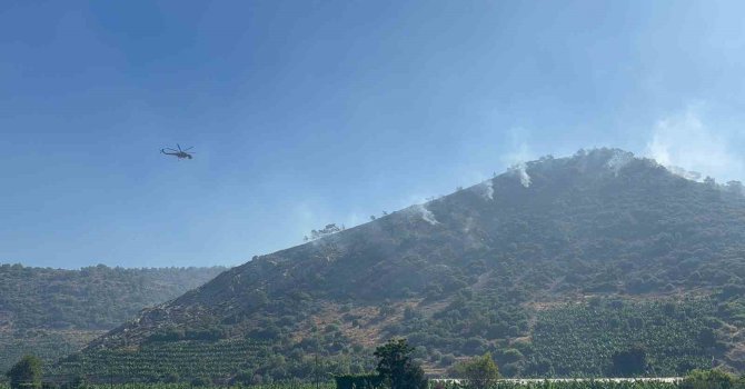 Antalya’daki orman yangını 3 saatte kontrol altına alındı