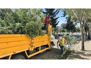 Kahramanmaraş’ta fırtınanın oluşturduğu hasar ortadan kaldırılıyor