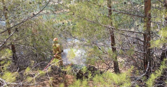 Mersin Mut’ta orman yangını