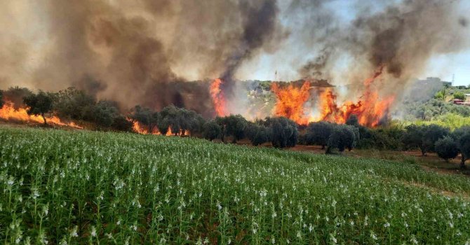 Antalya’da ormanlık ve kırsal alanda çıkan yangın kontrol altına alındı