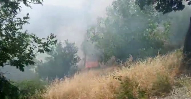 Kahramanmaraş’ta orman yangını büyümeden söndürüldü