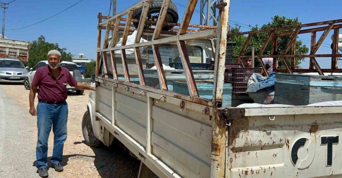 Alevlerin arasına arılarını kurtarmaya geldi