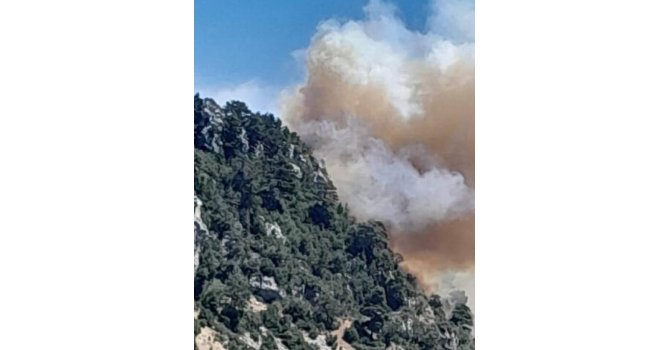 Mersin Bozyazı’da orman yangınına ekipler müdahale ediyor