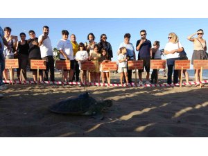 Uydu cihazı takılan kaplumbağa ’Soli’ denize bırakıldı