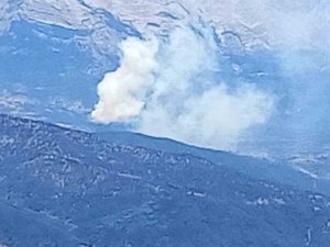 Isparta’da ormanlık alanda yangın