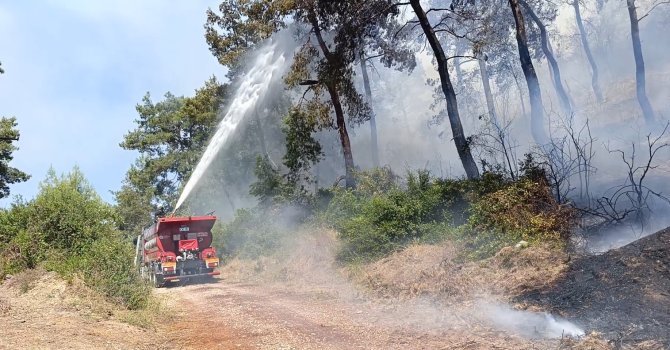 Manavgat’ta ormanlık alan yangınında 3 hektar alan zarar gördü