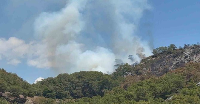 Gazipaşa’da ormanlık alanda yangın
