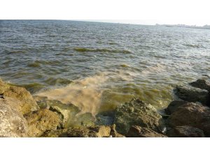 Doğu Akdeniz’de kirlilik gözle görülür hale geldi