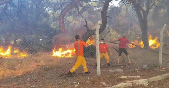 Orman yangınına ekiplerin alevlerle cansiparane mücadelesi