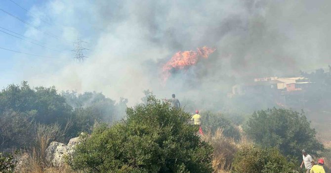 Antalya’da yerleşim alanına yakın ağaçlık alanda yangın