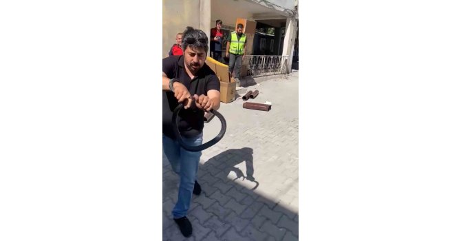 Eve giren yılanı yakalamak isterken parmağını kaptırdı