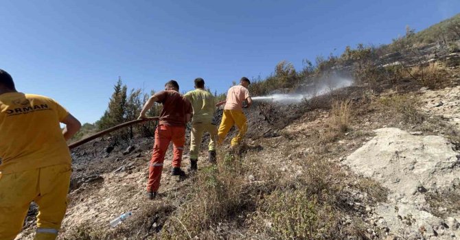 Hatay’da orman yangını kısa sürede kontrol altına alındı