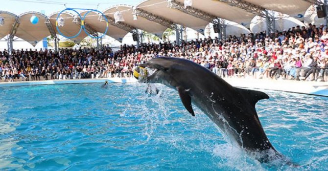 Türel’den öğrencilere motivasyon ve moral