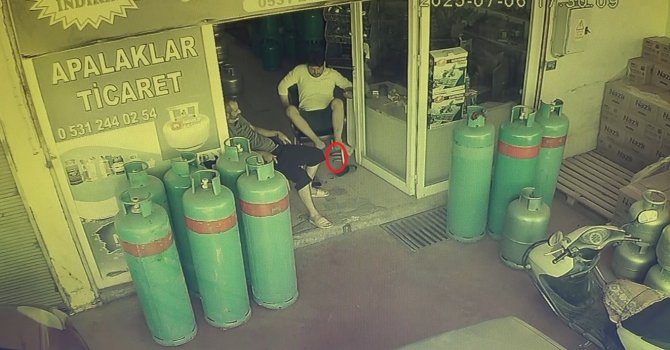 Dükkana giren yılan, esnafı sokağa fırlattı