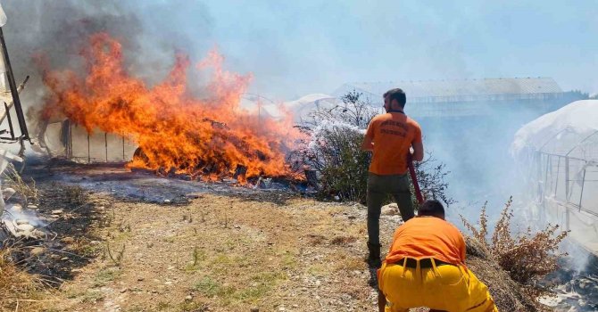 Serik’te çalılıklarda başlayan yangın 2 seraya zarar verdi