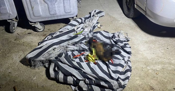 Çöp konteynerindeki yangın sonrası köpeğin telef olduğu ortaya çıktı