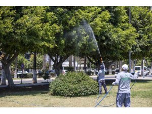 Mersin’de yaz boyunca kesintisiz ilaçlama