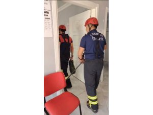 Osmaniye’de aile sağlığı merkezine giren yılan paniğe neden oldu