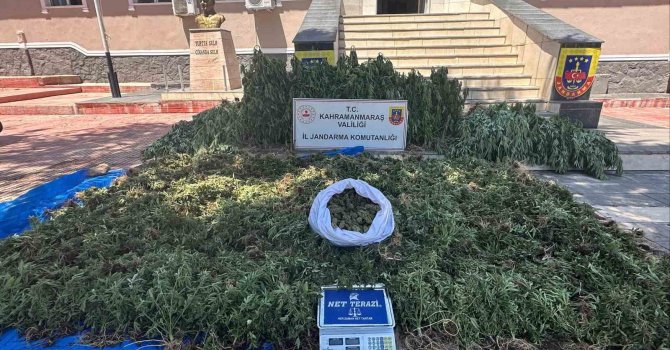 Kahramanmaraş’ta 4 uyuşturucu taciri tutuklandı