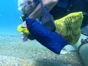 Denizden çıkan atıklar profesörü sinirlendirdi: "Deve kuşu gibi kafasını kuma gömüyor ama vücudu dışarıda"