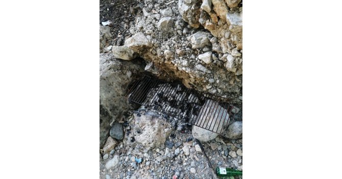 Mersin’de ormanda piknik yapan 5 kişiye ceza