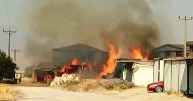 Kahramanmaraş’ta samanlık yangını